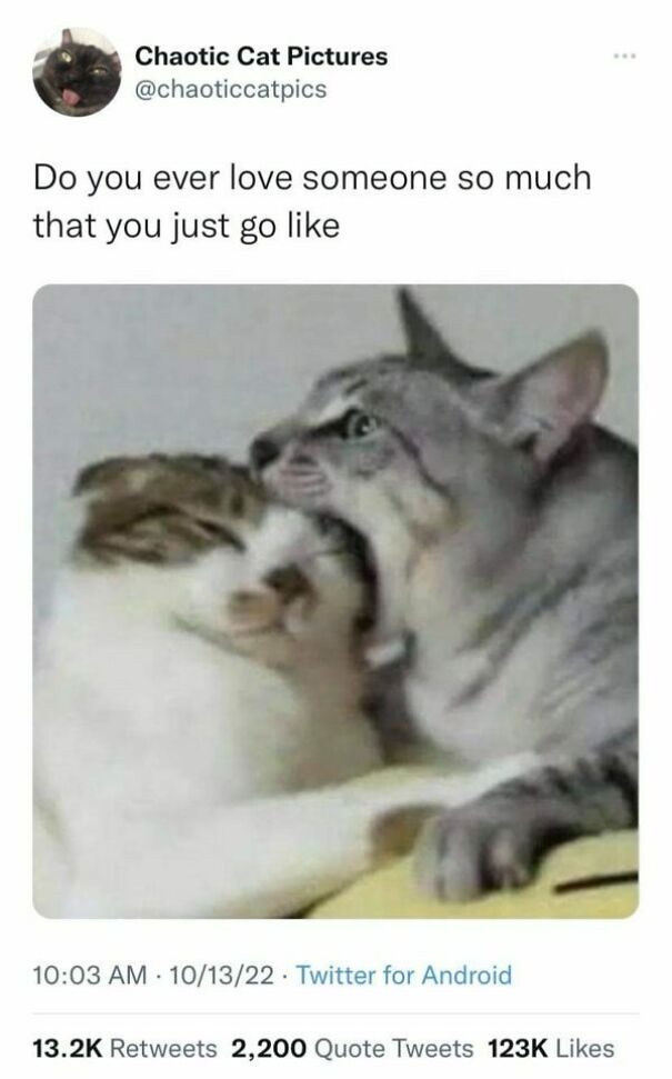 22 Relatable Memes I Found On The Internet