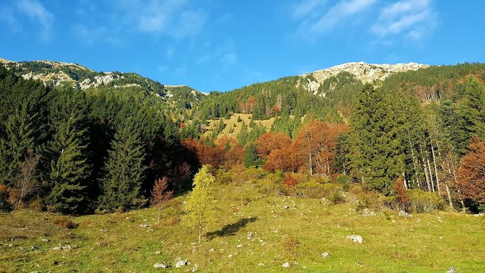 Autumn Mood On Mount Stol, Slovenia
