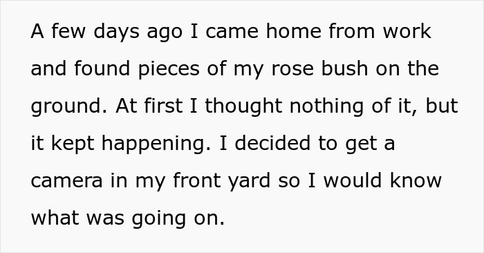 Woman Refuses To Remove Her Rose Garden, So Allergic Neighbor Takes Care Of It Herself And Gets The Cops Called On Her