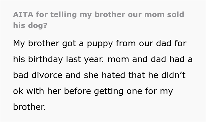 Family Drama Ensues After Dad Gifts His Son A Dog, Mom Sells It For $4K And Says That It Ran Away Family Drama Ensues After Dad Gifts His Son A Dog, Mom Sells It For $4K And Says That It Ran Away