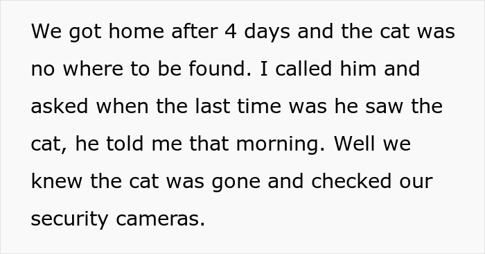 16 Y.O. Loses His Neighbor's Cat That He Was Supposed To Pet Sit, His Mom Is Upset About The Neighbors Refusing To Pay For His Work 16 Y.O. Loses His Neighbor's Cat That He Was Supposed To Pet Sit, His Mom Is Upset About The Neighbors Refusing To Pay For His Work