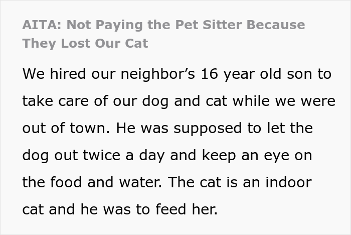 16 Y.O. Loses His Neighbor's Cat That He Was Supposed To Pet Sit, His Mom Is Upset About The Neighbors Refusing To Pay For His Work