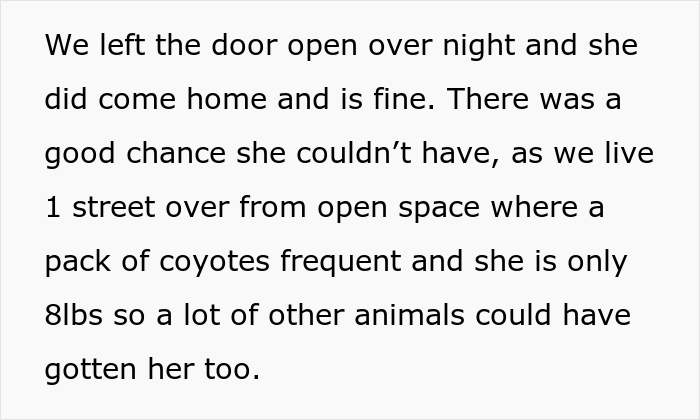 16 Y.O. Loses His Neighbor's Cat That He Was Supposed To Pet Sit, His Mom Is Upset About The Neighbors Refusing To Pay For His Work 16 Y.O. Loses His Neighbor's Cat That He Was Supposed To Pet Sit, His Mom Is Upset About The Neighbors Refusing To Pay For His Work