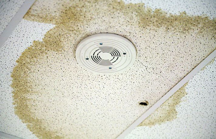 Unpaying Tenant Doesn’t Want To Leave Her Trailer So The Landlord Decides To “Move In” To Make Her Leave Unpaying Tenant Doesn’t Want To Leave Her Trailer So The Landlord Decides To “Move In” To Make Her Leave