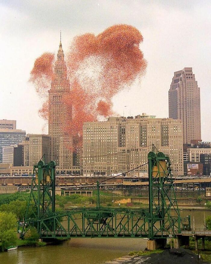 In 1986, The Charity Organization United Way Of Cleveland Released 1.5 Million Balloons