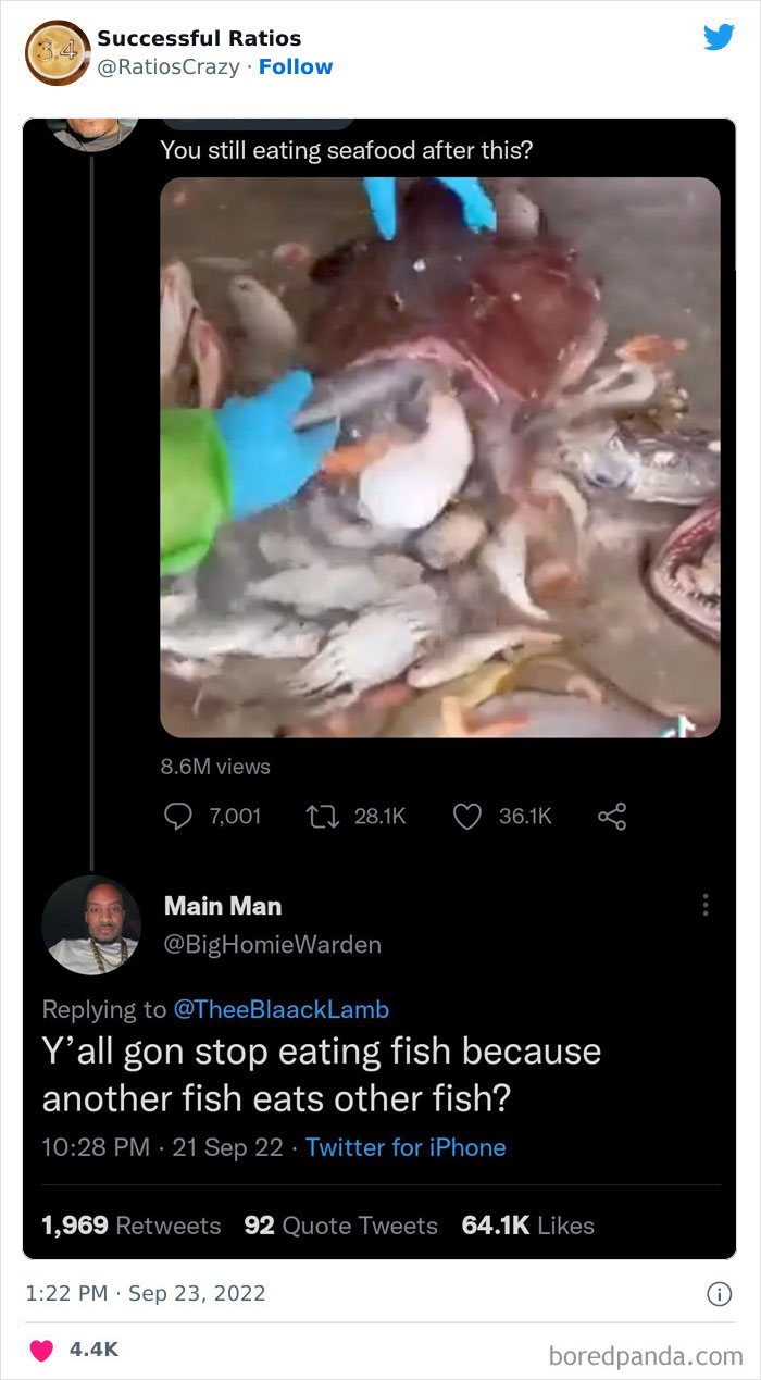 Best-Comebacks-Successful-Ratios