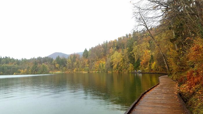 Autumn On Lake Bled, Slovenia