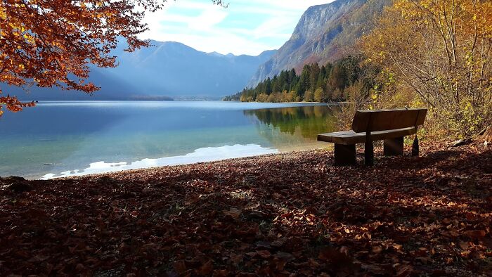 Autumn Mood On Lake Bohinj, Slovenia