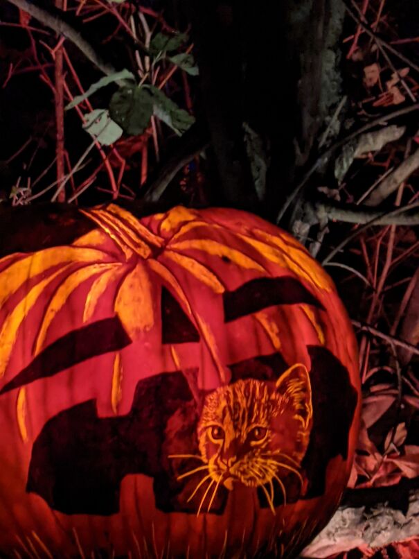 Not Mine But It Was At The Rodger Williams Zoo For Their Jack-O'-Lantern Spectacular