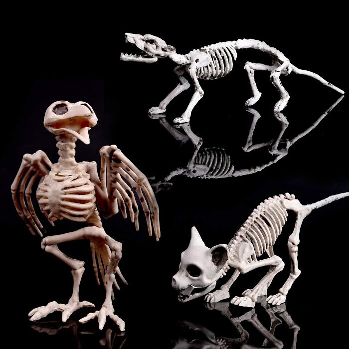 Halloween Animal Skeleton Toys