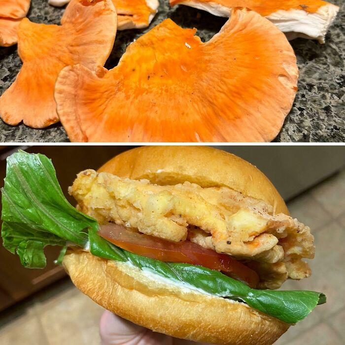 Made Fried Chicken Of The Woods Sandwich With Foraged Chicken Of The Woods