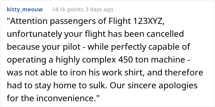 Pilot Skips Work Because His Stay-At-Home Wife Didn't Iron His Uniform, Shows Her How Her Actions "Could Affect The Money That Keeps Coming In"