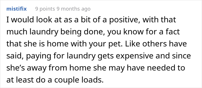 Dog-Sitter Does 'Insane Amount' Of Laundry At Client's Home Without Realizing The Owner Gets Notified Each Time It's Done