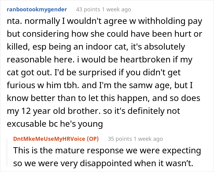 16 Y.O. Loses His Neighbor's Cat That He Was Supposed To Pet Sit, His Mom Is Upset About The Neighbors Refusing To Pay For His Work 16 Y.O. Loses His Neighbor's Cat That He Was Supposed To Pet Sit, His Mom Is Upset About The Neighbors Refusing To Pay For His Work