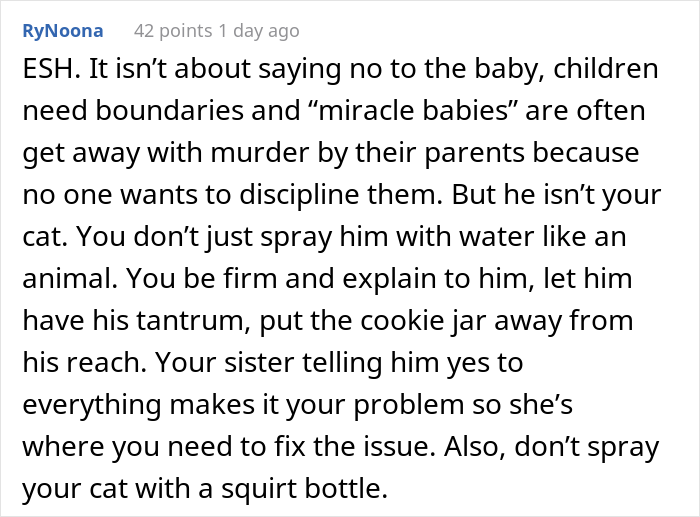 "He Is A Monster": Aunt Uses A Spray Bottle To Discipline Her "Rainbow Baby" Nephew Who Is Spoiled Beyond Belief, Causes Drama