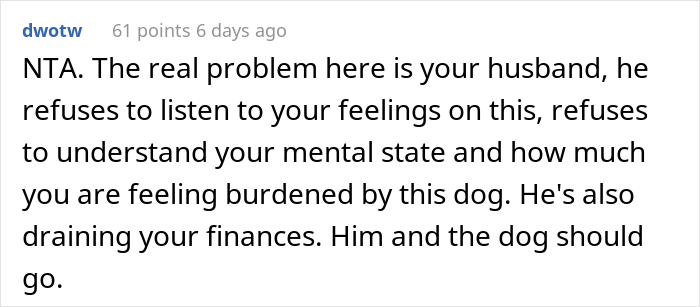 Woman Asks If She Is Being Selfish For Wanting Her Husband’s Dog Gone When It Ate Her Food She Got For The First Time In 2 Days