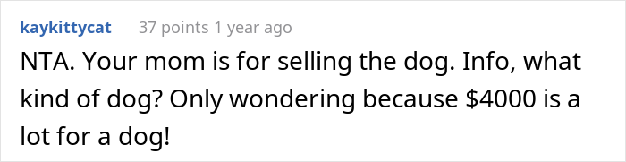 Family Drama Ensues After Dad Gifts His Son A Dog, Mom Sells It For $4K And Says That It Ran Away Family Drama Ensues After Dad Gifts His Son A Dog, Mom Sells It For $4K And Says That It Ran Away