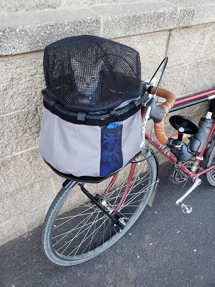 Kitty Carrier For My Bicycle. Top Zips Open For Quiet Trails And A Removable Fleece Liner For Cool Mornings