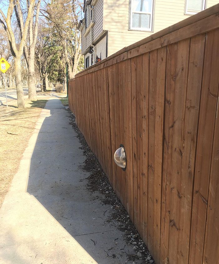 This Fence Has A Window For The Dog