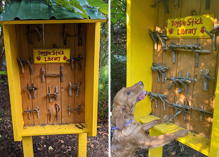 Found A Little Free Library For Dogs
