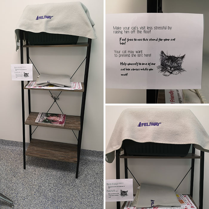 My Vet Has A Cat Waiting Area Around The Corner And Special Blankets For Your Cat Box