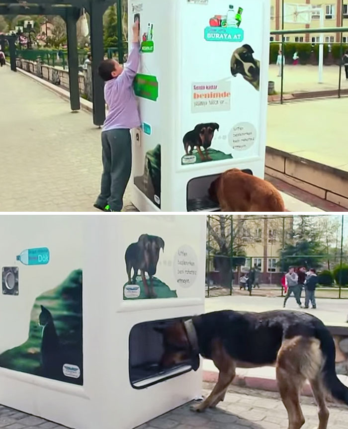 Esta máquina expendedora de Estambul dispensa comida para perros callejeros cuando la gente deposita botellas para su reciclaje