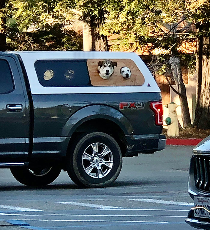 This Personalized Truck For Dogs