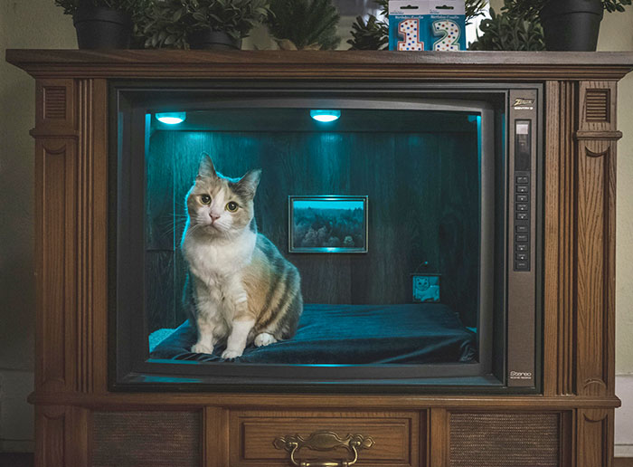 An Old TV Repurposed Into A Cat Bed For My Cat’s Birthday