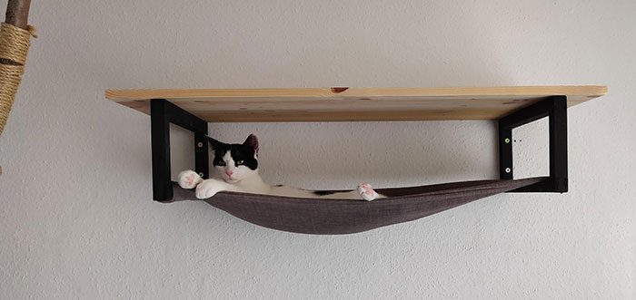 Just Made This Shelf/Hammock For Our Cat. I Guess It's Been Given The Approval Of The Boss