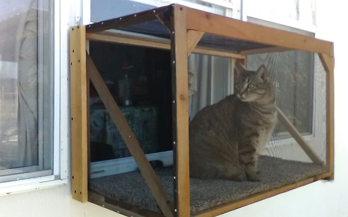 My Dad Made A "Catio" For His Indoor Cat