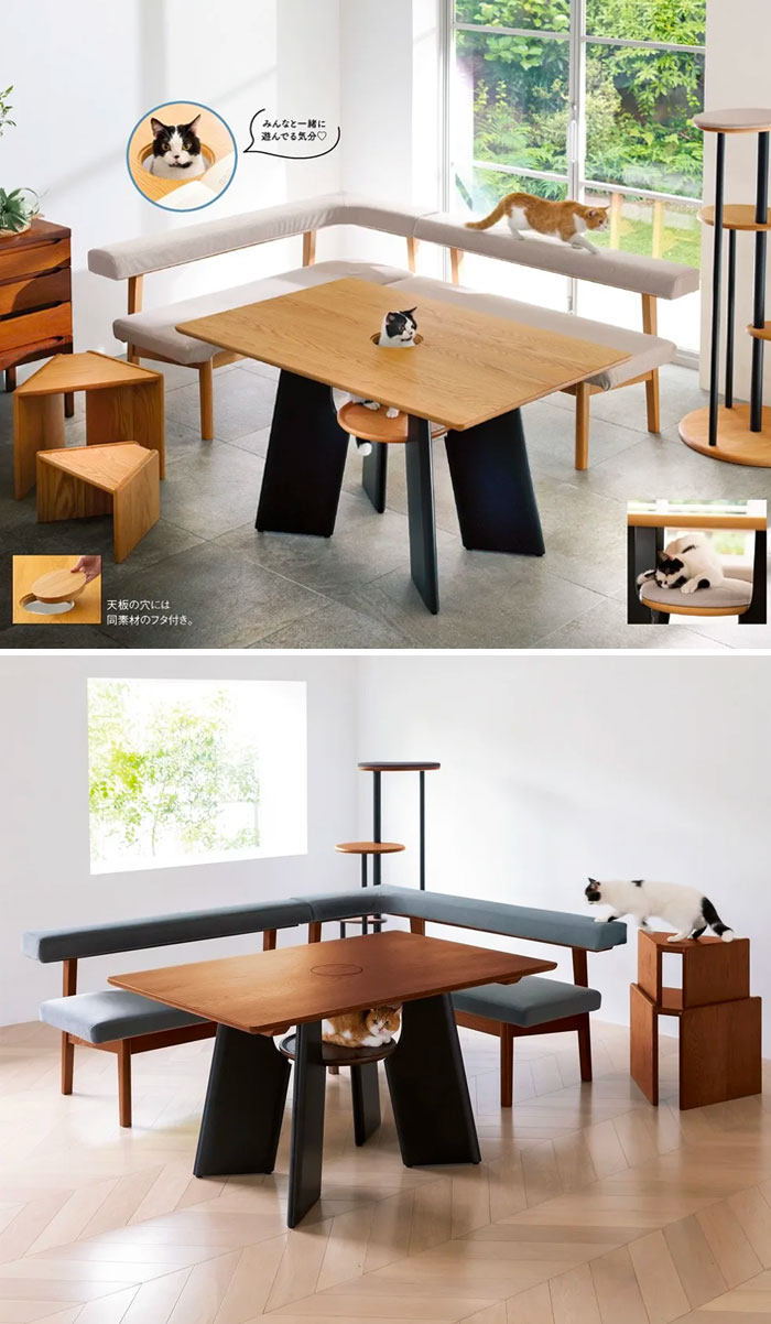 Japanese Online Retailer Dinos Released This Special Kitchen Table Has A Hole For Your Cat To Peak Through And Join You For Dinner
