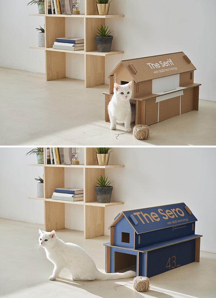 Samsung Redesigned Its TV Boxes So They Can Be Up-Cycled Into A Cat House