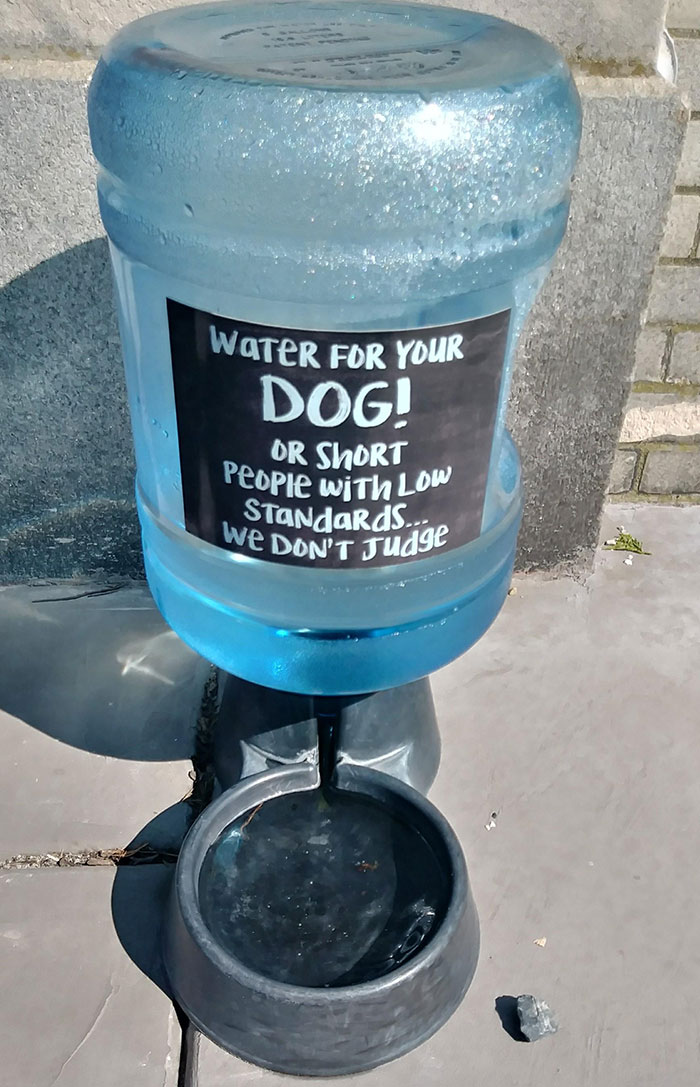 This Water Bowl Outside A Pet Store