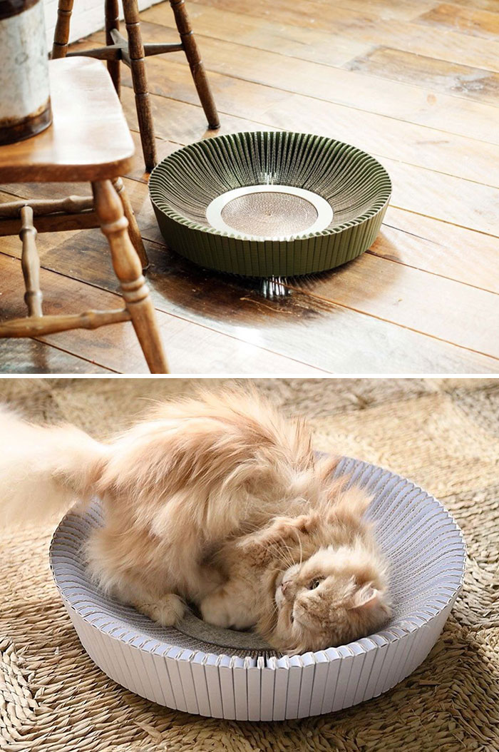 Scratching Post + Bed For Cats