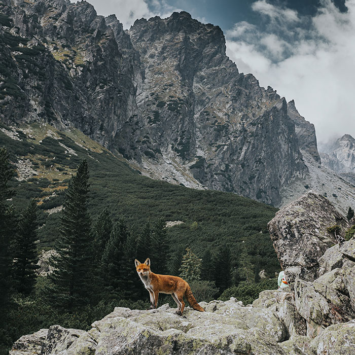 I Went To The Slovakian Tatras With My Girlfriend And Her Family, And What I Saw Took My Breath Away (34 Pics)