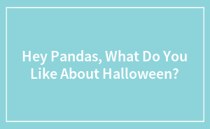 Hey Pandas, What Do You Like About Halloween?
