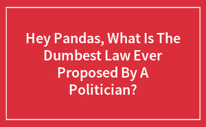 Hey Pandas, What Is The Dumbest Law Ever Proposed By A Politician?