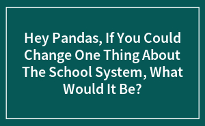 Hey Pandas, If You Could Change One Thing About The School System, What Would It Be?