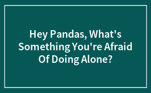 Hey Pandas, What's Something You're Afraid Of Doing Alone?