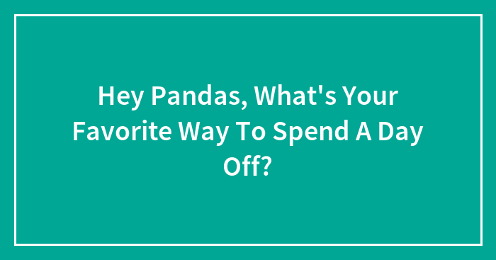 Hey Pandas, What’s Your Favorite Way To Spend A Day Off? (Closed)