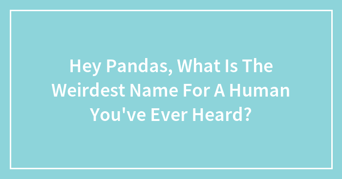 Hey Pandas, What Is The Weirdest Name For A Human You’ve Ever Heard? (Closed)