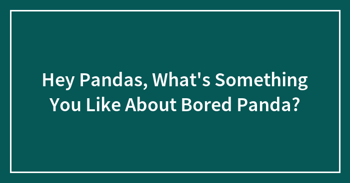 Hey Pandas, What’s Something You Like About Bored Panda? (Closed)