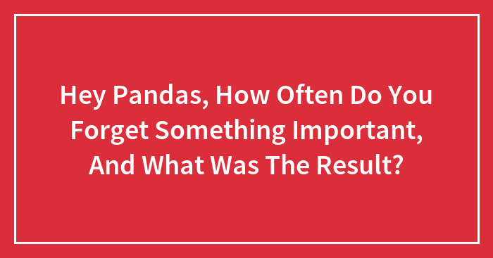 Hey Pandas, How Often Do You Forget Something Important, And What Was The Result? (Closed)