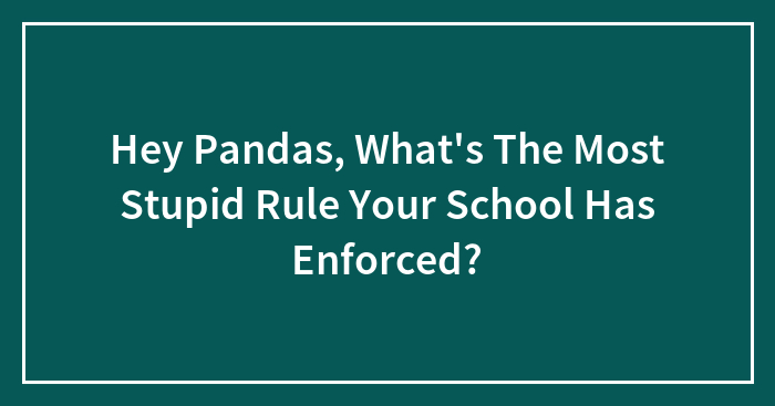 Hey Pandas, What’s The Most Stupid Rule Your School Has Enforced? (Closed)