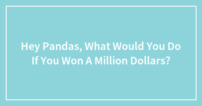 Hey Pandas, What Would You Do If You Won A Million Dollars? (Closed)