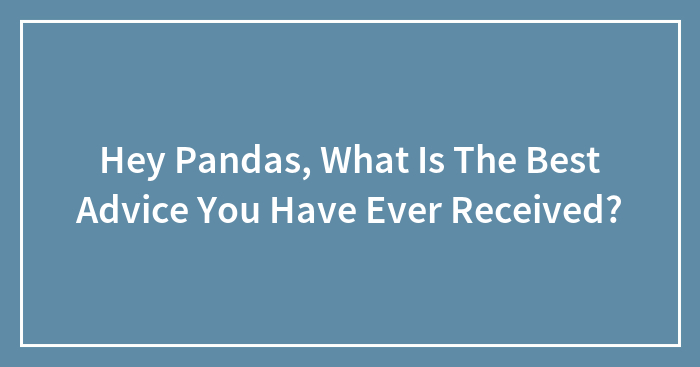 Hey Pandas, What Is The Best Advice You Have Ever Received? (Closed)