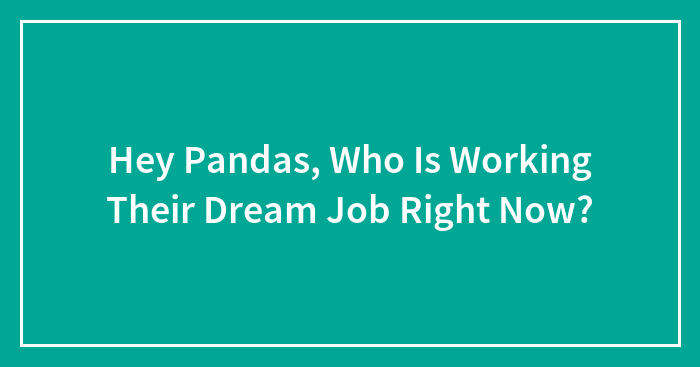 Hey Pandas, Who Is Working Their Dream Job Right Now? (Closed)