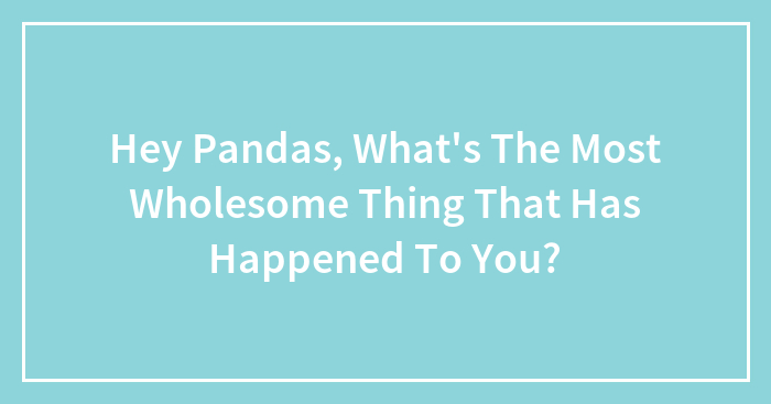 Hey Pandas, What’s The Most Wholesome Thing That Has Happened To You? (Closed)