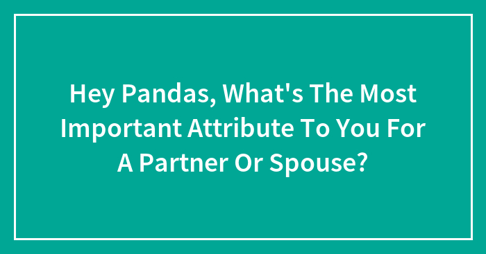 Hey Pandas, What’s The Most Important Attribute To You For A Partner Or Spouse? (Closed)
