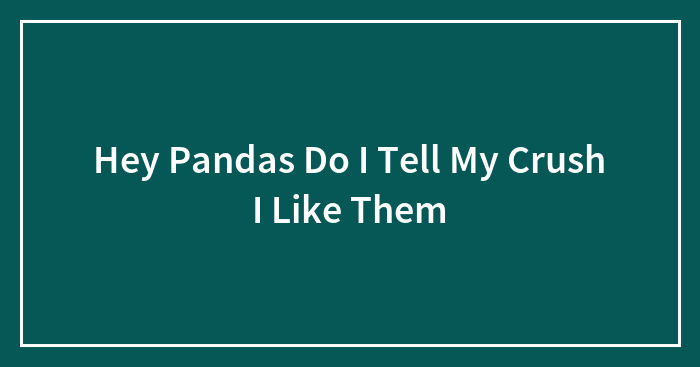 Hey Pandas Do I Tell My Crush I Like Them